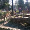 zoo 18